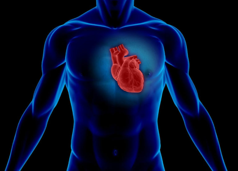 188966_heart