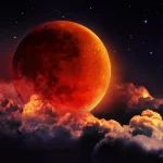 shutterstock_311299340-copy