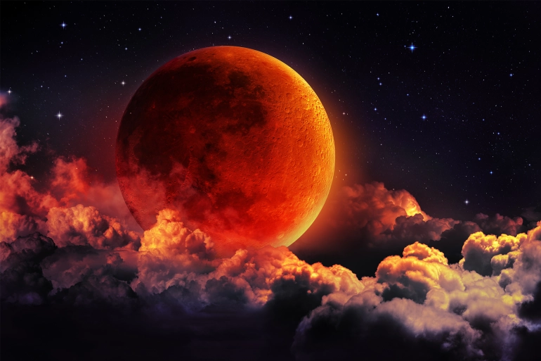 shutterstock_311299340-copy