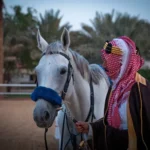 في واحد من أعظم إنجازات الإنسان القديم، ساهم استئناس الحصان في دفع المجتمعات نحو الثورة الزراعية وتطور النقل والحروب، إلا أن السر وراء قدرة البشر على ترويض هذا الحيوان ظل غامضا.