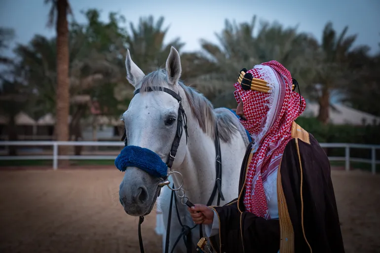 في واحد من أعظم إنجازات الإنسان القديم، ساهم استئناس الحصان في دفع المجتمعات نحو الثورة الزراعية وتطور النقل والحروب، إلا أن السر وراء قدرة البشر على ترويض هذا الحيوان ظل غامضا.