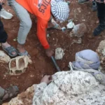 إحدى المقابر الجماعية وتضم جثامين عشرات الأشخاص شمال حمص (مواقع التواصل)