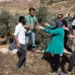 مستوطنون يمنعون فلسطينيين من قطف الزيتون الذي يعد جزءا من الثقافة والاقتصاد المحليين (غيتي)