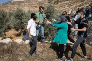 مستوطنون يمنعون فلسطينيين من قطف الزيتون الذي يعد جزءا من الثقافة والاقتصاد المحليين (غيتي)