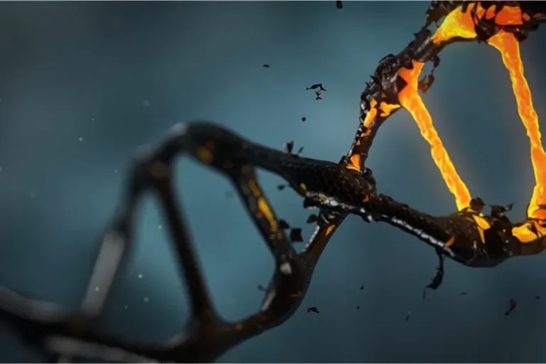 بعض الصفات خاضعة تماما لسيطرة الجينات المنقولة من الآباء إلى الأبناء (بيكسابي)