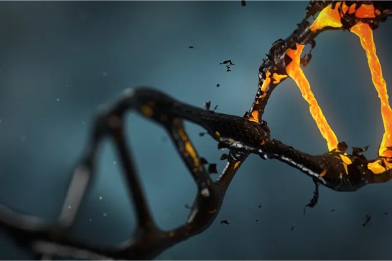 بعض الصفات خاضعة تماما لسيطرة الجينات المنقولة من الآباء إلى الأبناء (بيكسابي)